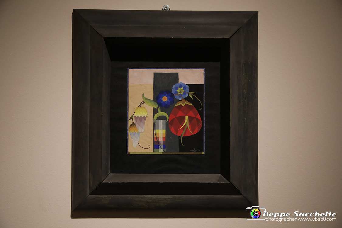 VBS_1313 - Castello di Miradolo - Mostra Oltre il giardino l'Abbecedario di paolo Pejrone.jpg